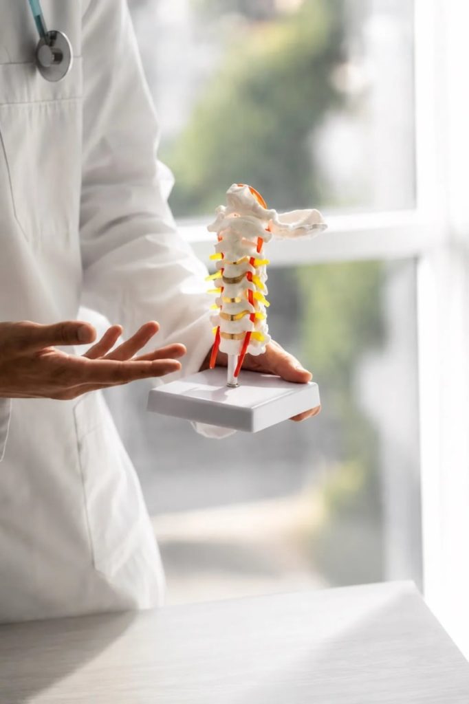Medical professional in white coat holds a spinal model on a display stand, explaining lumbar vertebrae segments.
